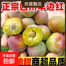 四川李子半边红茵红李土李子新鲜水果青脆李包邮脆甜脱骨离核 4斤