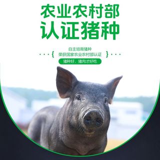 壹号土 黑猪五花肉