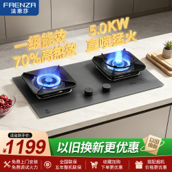 法恩莎 燃气灶双灶台煤气灶家用猛火高热效率双灶定时灶具台式嵌入式一级能效天然气液化气可