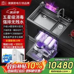栖川 日本栖川集成水槽洗碗机一体三合一果蔬嵌入式14套洗碗机单独烘干双层上下分层洗XC-09Pro 9