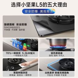 老板 JZT-5G2A6-L5 一级能效猛火 天然气 双灶燃气灶