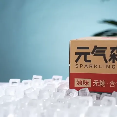 88VIP:元气森林 Genki Forest 无甜原味苏打水 330ml*24罐