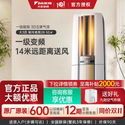DAIKIN 帕缔能系列 FVXF 立柜式空调