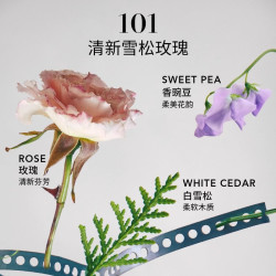 BON PARFUMEUR Bon柏氛602/003/101香水官方小样淡香木质调试香2.5ml
