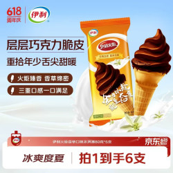 伊利 火炬香草口味冰淇淋80g*6支装（赠食用冰杯）