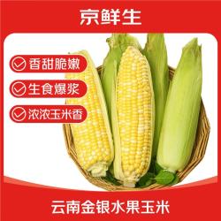 京鲜生 新鲜嫩苞米 甜玉米 3斤单果280g+