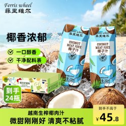 菲里维尔 醇厚椰子汁植物蛋白饮料小瓶椰肉生榨饮品果汁调饮 200ml*24瓶 椰子汁 24瓶