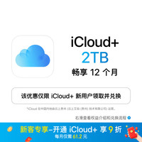 Apple iCloud+ 2TB 12个月权益包