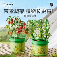 弥鹿 攀爬桶儿童植物种植盆栽阳光房生长观察盒科学实验玩具生日礼物