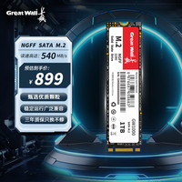 长城 1TB SSD固态硬盘 M.2接口SATA协议 读速550MB/S GW1000系列
