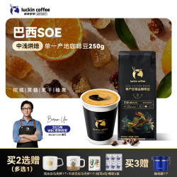 瑞幸咖啡 SOE单产区精品咖啡豆巴西咖啡豆250g/袋中浅烘低酸现磨手冲黑咖啡