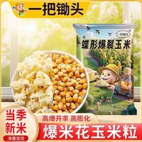 今日必买：一把锄头 爆裂玉米爆米花专用玉米粒 50g