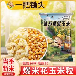 一把锄头 爆裂玉米爆米花专用玉米粒 50g