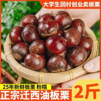 迁西 河北油板栗 2斤 大果 新鲜中秋节