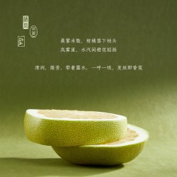 JURO栖岚风林毓琇柚发膜亮泽修复柔顺滋养型氨基酸免蒸护发温和