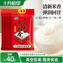 十月稻田 长粒香米