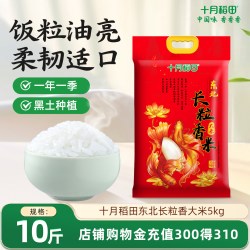 十月稻田 长粒香米