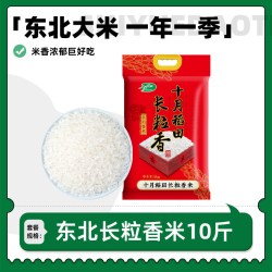 十月稻田 长粒香米