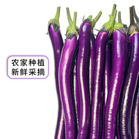 山东新鲜红线茄子现摘紫皮长茄子杭茄新鲜蔬菜现摘现发优质蔬菜 山东新鲜红线茄子 3斤