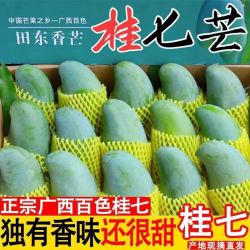 广西 百色 桂七芒 4.5斤装 特大果 单果250克+