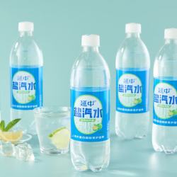 延中 咸青桔风味 盐汽水 600ml*20瓶/箱