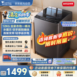 小天鹅 水魔方系列 TB120M08DT 波轮洗衣机 12kg