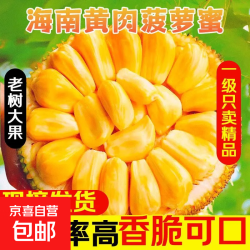 京喜 海南黄肉菠萝蜜水果特产生鲜鲜果一整个干包老树京东快递 净重18-22斤