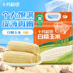 十月稻田 23年新玉米 白糯玉米260g*8 2.08kg 东北糯玉米棒 杂粮礼包