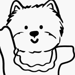 24h监控寄养宠物酒店 小型犬寄养