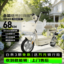金箭 超长续航 电动自行车