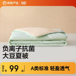 网易严选 A类大豆纤维被宿舍夏季床上用品夏被四季被空调被 云杉绿-夏被 200*230cm（适合1.5m/1.8m床)
