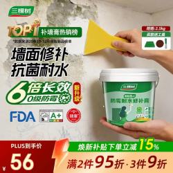 三棵树 防霉耐水修补膏 2.5kg