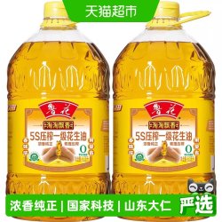 鲁花 淘淘飘香花生油6.08L*2 食用油