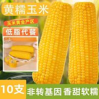 馋乡玉 黑龙江黄糯玉米 250g*10支/220g*10支/220g*8支/220g*3支/200g*3支