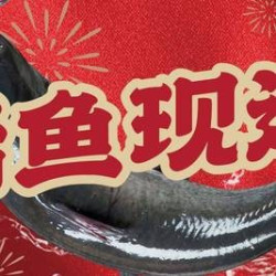 100元代金券|不限张数