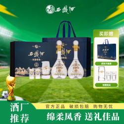 西凤酒 丝路明珠 52%vol 凤香型白酒 500ml*2瓶