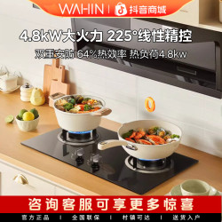 华凌 灶具HQ3M燃气灶双灶炉具厨房家用煤气灶天然气炉灶猛火大火力