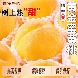 飘香果度 新鲜山西黄毛桃 5斤装丨颗颗精选丨净重4.5斤100g+