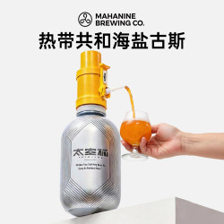 大九 酿造热带共和海盐古斯啤酒 3L