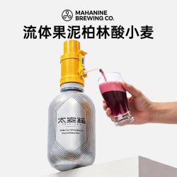 大九 酿造流体果泥柏林酸小麦啤酒 3L