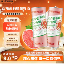 REYEN 锐恩 毛尖西柚茉莉水果味啤酒 1升罐