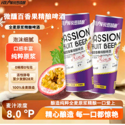 REYUN 锐恩 百香果精酿啤酒 果味啤酒 1升