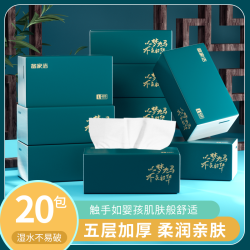 备家洁 BAIJIAJIE 备家洁 抽纸 5层420抽20包(160*175mm)