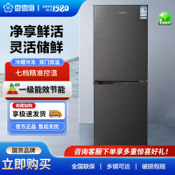 SNOWSEA 206升双门家用冰箱一级能效宿舍小型电冰箱冷藏租房电冰箱