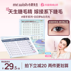 MR.WISH 倒扣镊白日梦心愿先生自然仿真单簇睫毛隐形