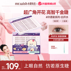 MR.WISH 免胶白开水大盒假睫毛淡颜自然