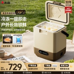 志高 T01-12 车载冰箱 12升 奶咖棕