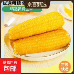 / 新鲜黄糯玉米真空包装选10棒更划算速食玉米低脂粗粮代餐杂粮早餐包邮 福利专项 4棒 200g起/棒