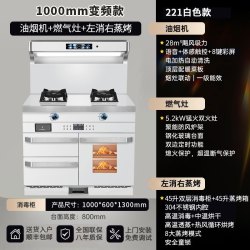 旺厨好太太 白色1000MM集成灶 左消右蒸烤 天然气