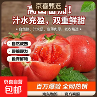 京喜 低脂高山西红柿水果番茄可生吃新鲜蔬菜生鲜产地直发 山东西红柿带箱6斤 5.7斤 净重